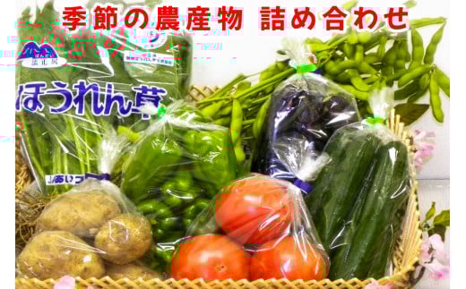 季節の農産物詰め合わせ｜産直 農産物 季節の野菜 やさい 旬の野菜 新鮮 詰合せ [0757]