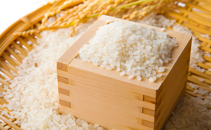 【2025年1月31日まで】令和6年産　あさか舞ひとめぼれ　5kg