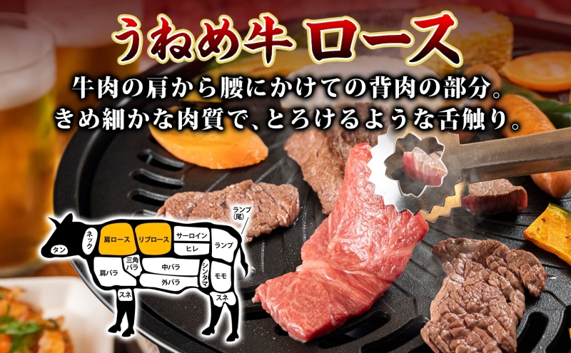 うねめ牛 ロース 焼肉用 450g 福島県産 和牛 黒毛和牛 焼き肉 牛肉 牛 お肉 国産 ブランド牛 上質 鉄板 料理 焼肉 贅沢 BBQ お取り寄せ ギフト 鈴畜中央ミート 冷凍 福島県 郡山市