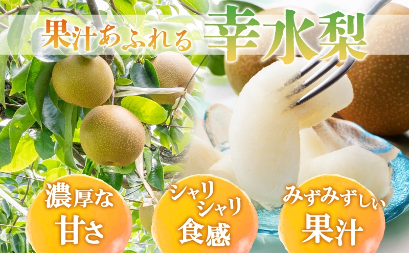 梨 幸水 約5kg 果物 なし くだもの フルーツ 旬 ナシ 産地直送 国産 家庭用 贈答用 グルメ お取り寄せ ジューシー 果汁 みずみずしい 果実 デザート 福島県 郡山市