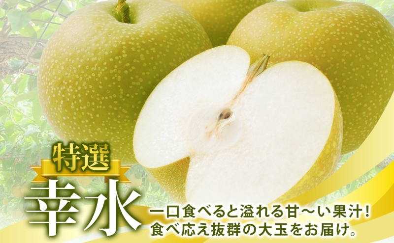 特選 幸水 約3kg 大玉 6～8個 なし 梨 ナシ もぎたて 甘い 旬 果物 GAP 認証 産地直送 贈り物 贈答用 送料無料 上の山 彩果園 福島県 郡山市
