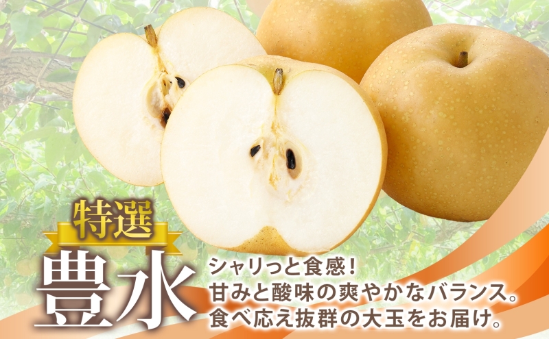 特選 豊水 約3kg 大玉 5～8個 なし 梨 ナシ もぎたて 甘い 旬 果物 GAP 認証 産地直送 贈り物 贈答用 送料無料 上の山 彩果園 福島県 郡山市