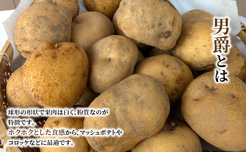 訳あり 無選別 セット キュアリング処理済貯蔵庫熟成 さつまいも & ホクホク 男爵 じゃがいも 4kg 芋 お芋