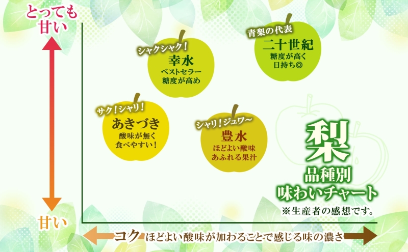 特選 豊水 約3kg 大玉 5～8個 なし 梨 ナシ もぎたて 甘い 旬 果物 GAP 認証 産地直送 贈り物 贈答用 送料無料 上の山 彩果園 福島県 郡山市