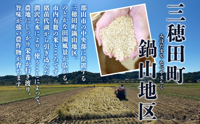 【先行受付 R7年産】 お米 こしひかり 3kg 米焼酎 美穂田 鍋山720ml 1本 セット 米 コシヒカリ 酒 お酒 飲料 三穂田町 鍋山地区 チヨニシキ 米麹 醸造 お取り寄せ 贈答 晩酌 家飲み ギフト 常温 尚楠 福島県 郡山市