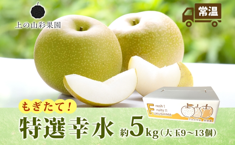 特選 幸水 約5kg 大玉 9～13個 なし 梨 ナシ もぎたて 甘い 旬 果物 GAP 認証 産地直送 贈り物 贈答用 送料無料 上の山 彩果園 福島県 郡山市
