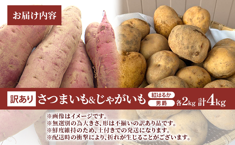 訳あり 無選別 セット キュアリング処理済貯蔵庫熟成 さつまいも & ホクホク 男爵 じゃがいも 4kg 芋 お芋