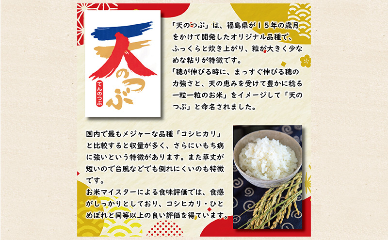 令和7年産 福島県郡山産 天のつぶ 5kg 精米 米 お米 白米 単一原料米 5キロ こめ コメ おこめ ご飯 ライス 福島県 郡山市産