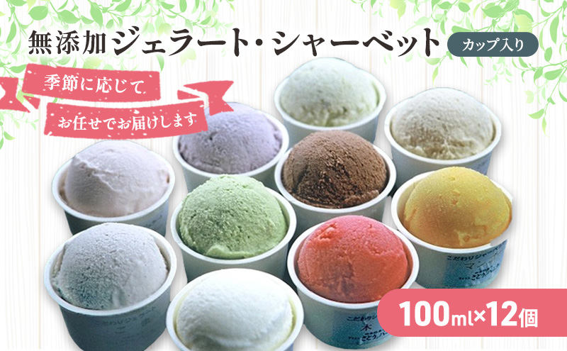 無添加 ジェラート・シャーベット詰合せ 100ml×12個