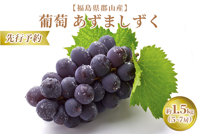 【先行予約】【福島県郡山産】葡萄 あずましずく 約1.5kg以上（5～7房） 果物 フルーツ デザート 食後 おやつ 高糖度 贈答用 国産 ギフト 贈り物
