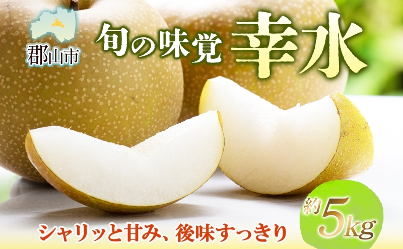 梨 幸水 約5kg 果物 なし くだもの フルーツ 旬 ナシ 産地直送 国産 家庭用 贈答用 グルメ お取り寄せ ジューシー 果汁 みずみずしい 果実 デザート 福島県 郡山市
