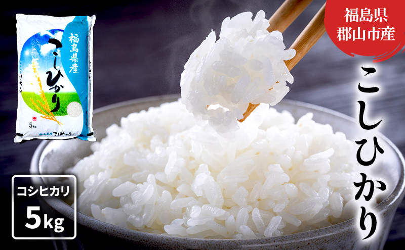 【令和7年産】コシヒカリ(白米) 5kg お米 こめ コメ 精米 こしひかり 令和7年 福島