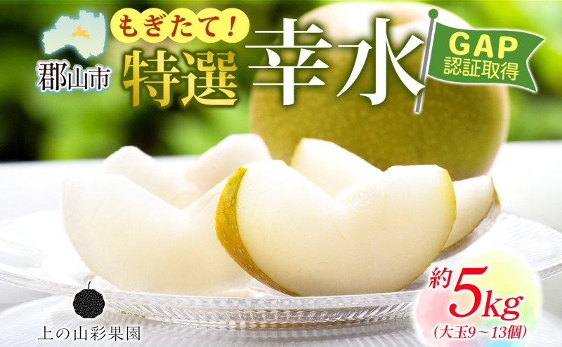 特選 幸水 約5kg 大玉 9～13個 なし 梨 ナシ もぎたて 甘い 旬 果物 GAP 認証 産地直送 贈り物 贈答用 送料無料 上の山 彩果園 福島県 郡山市