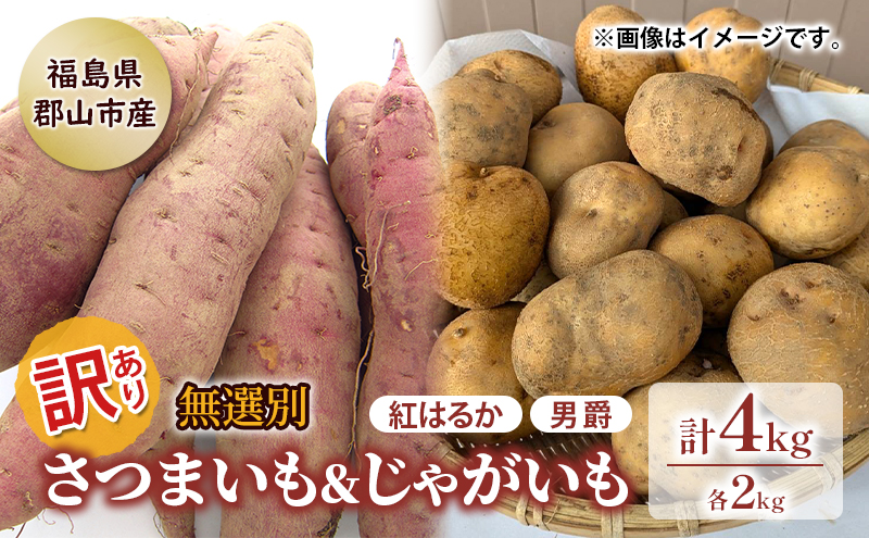 訳あり 無選別 セット キュアリング処理済貯蔵庫熟成 さつまいも & ホクホク 男爵 じゃがいも 4kg 芋 お芋