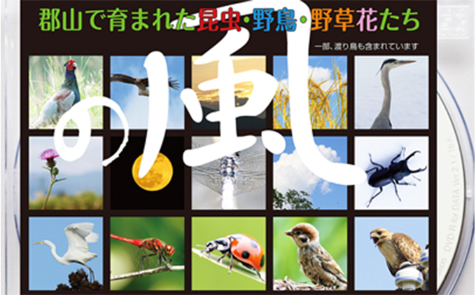 デジタル写真素材 「の風」