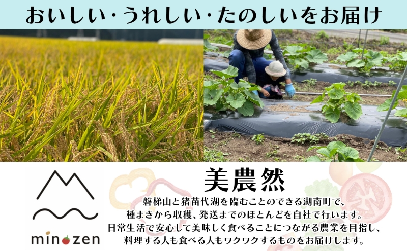 R7年産 福島県湖南町産 ひとめぼれ 5kg 精米 米 コメ ごはん お米 rice 白米 炊き立て おにぎり 弁当 ご飯 国産 産地直送 お取り寄せ 常備 美農然 湖南町 常温 福島県 郡山市