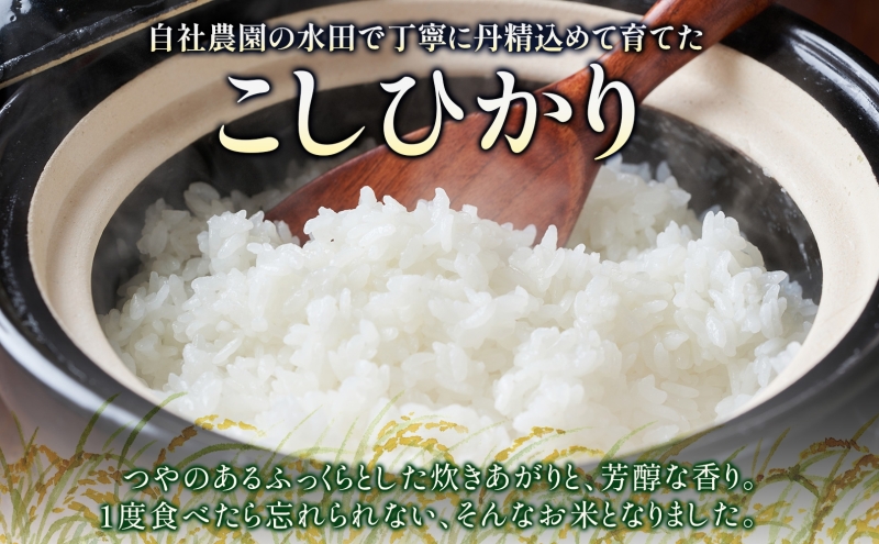 R7年度産 新米 こしひかり 10kg 精米 コシヒカリ お米 白米 コメ 米 ライス 三穂田 鍋山地区 おにぎり 弁当 お取り寄せ 贈答 ギフト 常備 常温 尚楠 福島県 郡山市