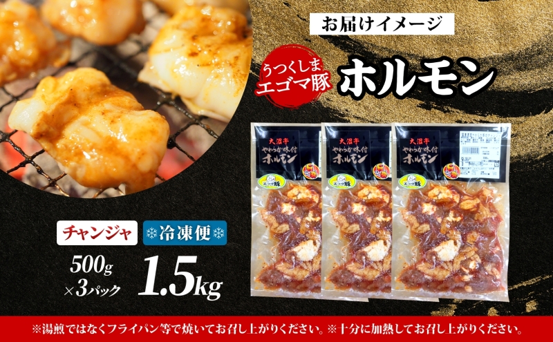 大沼亭 市場直営店 ホルモン チャンジャ 約1.5kg ホルモン焼き ピリ辛 豚ホルモン 豚ホル ぷるぷる とろける 食感 お酒のお供 おつまみ おかず ごはんのお供 冷凍 うつくしまエゴマ豚 お取り寄せグルメ 送料無料 福島県 郡山市