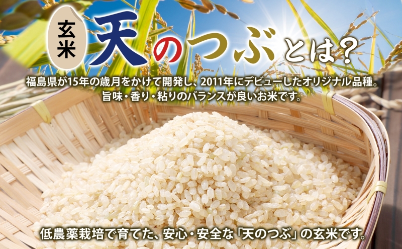 令和7年産 天のつぶ（玄米）25kg 玄米 げんまい 米 お米 こめ おこめ ライス 冷めても美味しい お弁当 おにぎり 塩むすび カレー どんぶり 丼 ふっくら お取り寄せ 備蓄 送料無料 福島県 郡山市