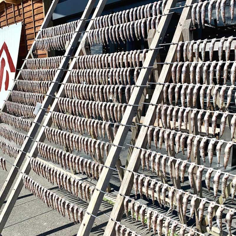 いわき市の魚 めひかりの干物 24尾 ｜ メヒカリ 干物 ひもの 贈答 贈り物 ギフト ｜ 福島県 いわき市 大川魚店 CK007