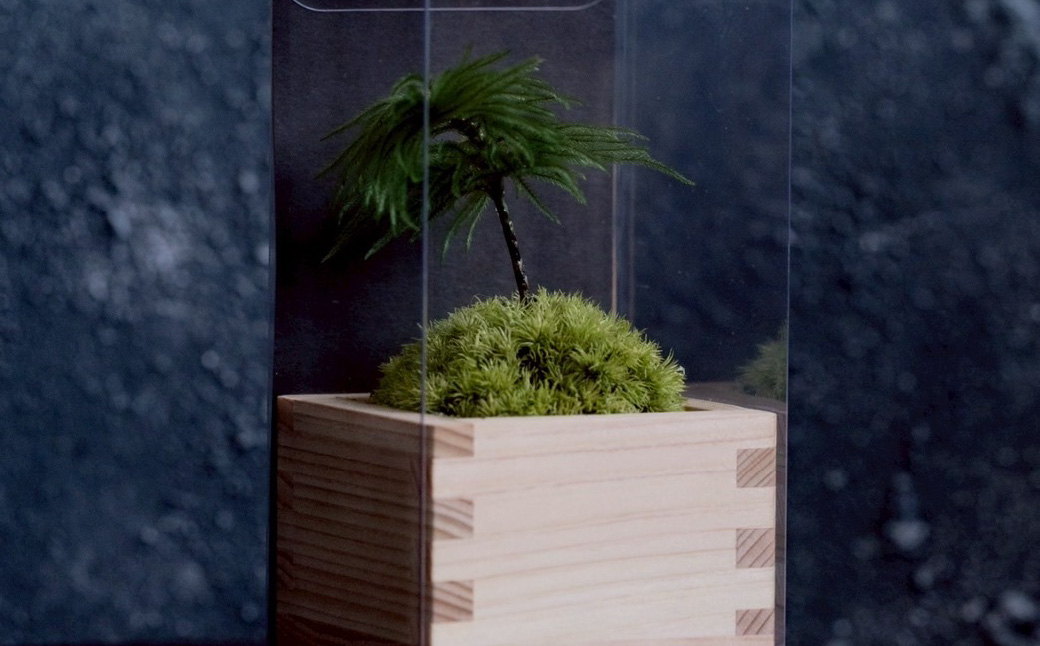 苔盆栽 枯れない 苔 インテリア ミニ盆栽 人工 プリザーブド 苔玉
