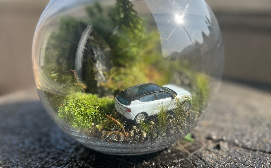 苔モスチャーテラリウム | 苔 テラリウム モスチャー 観葉植物 インテリア ガラス容器 おしゃれ 小型 癒し グリーン 観賞用 室内緑化 ミニ植物 手入れ簡単 長持ち ギフト プレゼント 新築祝い 開店祝い 人気 送料無料 | DE024