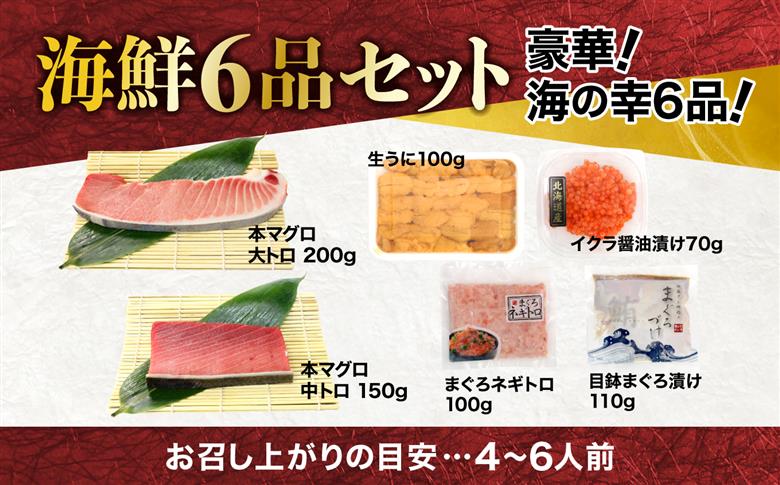 【定期便/計12回】福袋 海鮮 海鮮福袋 6品 海鮮セット 本マグロ マグロ 大トロ 中トロ ウニ イクラ ネギトロ 海鮮丼 手巻き寿司 約4から6人前【DG002-t12】 【定期便/計12回】