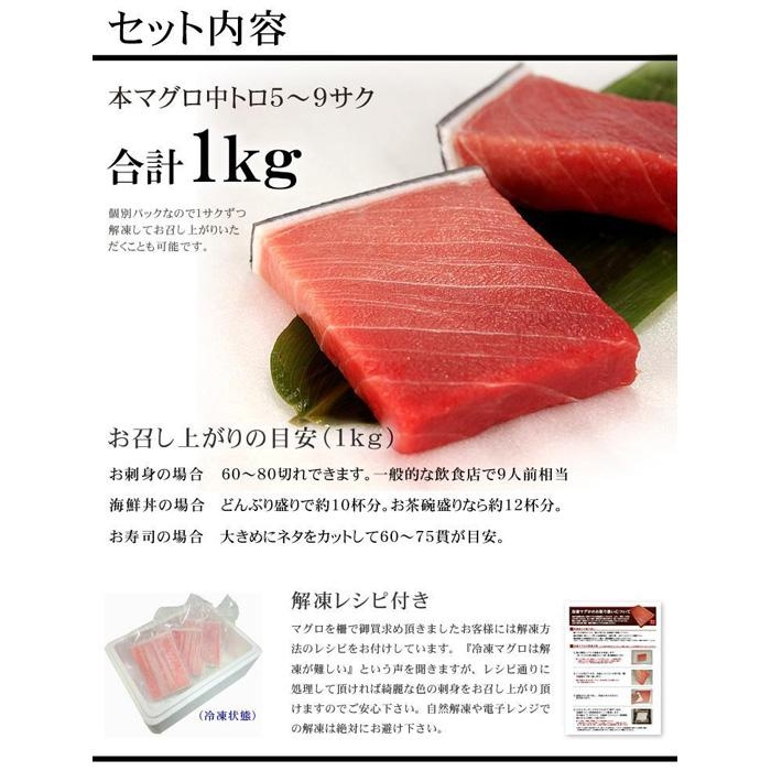 【定期便/計12回】本マグロ中トロ1kg（計12kg）【DG006-t12】|いわき市 ふるさと納税 株式会社東日本貿易 鮪 本鮪 本まぐろ マグロ トロ とろ 刺し身 さしみ さかな 海鮮 寿司 解凍レシピ付 【定期便/計12回】