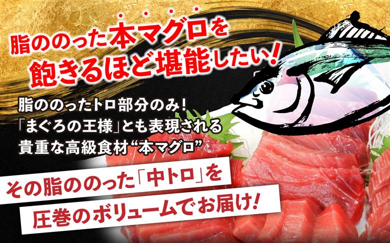 【単品】本マグロ 訳あり 中トロ 1kg 解凍レシピ付 約6～8人前 本マグロのトロ食べ放題！ 【単品】