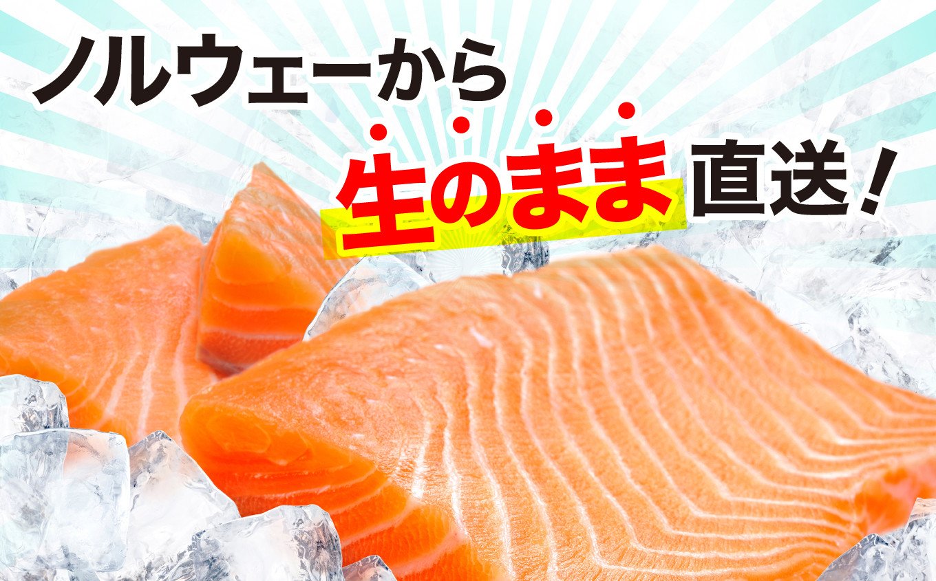 アイスバーグサーモン（アトランティックサーモン）600g | サーモン ふるさと納税 サケ さけ しゃけ 刺し身 お刺身 個包装 さかな 魚介類 寿司【DK006-600g】