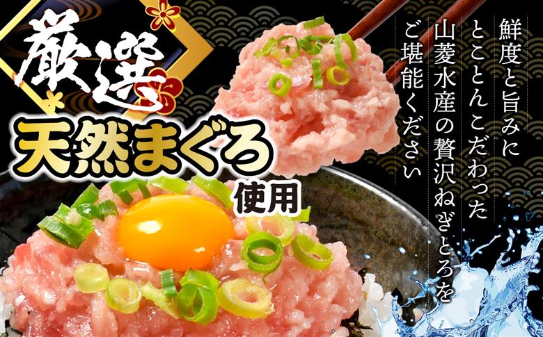 ねぎとろ使い切りパック　約500g（約40g×12パック）【DK011-500g】 500g