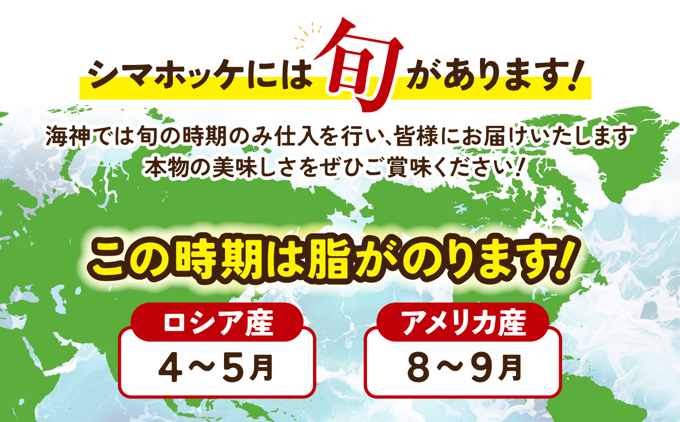 極上 シマホッケ 開き 計 1.2kg ～ 1.4kg ( 600g ～ 700g × 2枚 ) ほっけ 縞ホッケ 干物 魚 魚介 冷凍 おかず つまみ 肉厚