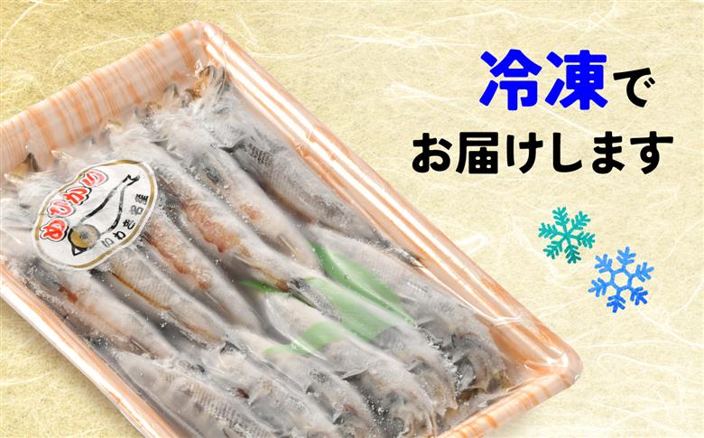 メヒカリ干し　300グラム | メヒカリ 干し 身ふっくら 香ばしい 目光 常磐もの いわき産 産地直送 塩味 焼くだけ ご飯にも お酒にも おつまみ 白身魚 海鮮干物 ギフト 敬老の日 お歳暮 家呑み 300g パック 国産 水産加工 | NS007