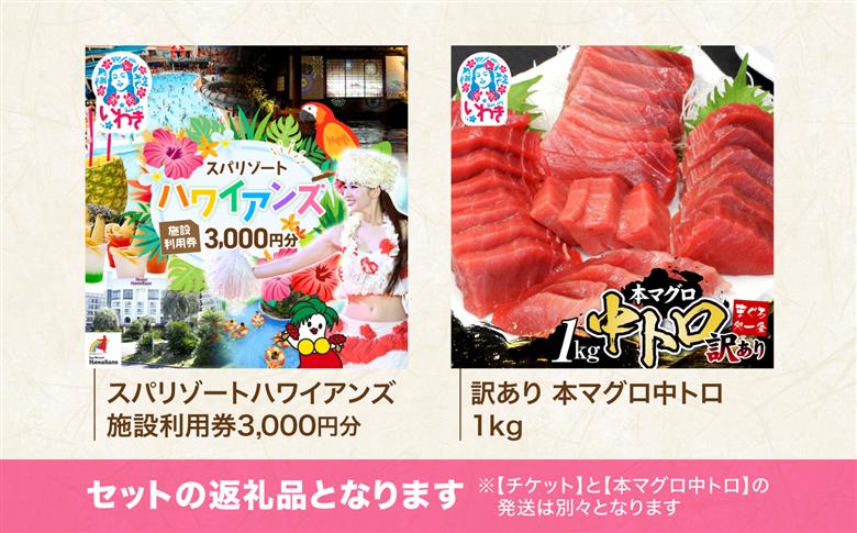 スパリゾートハワイアンズ　施設利用券3,000円分＋本マグロ訳あり中トロ1kg　解凍レシピ付　本マグロのトロ食べ放題！ | 利用チケット 入場券 ホテルハワイアンズ モノリスタワー ウイルポート フラダンス プール スパ 福島県 いわき市 マウナヴィレッジ ゴルフコース 株式会社東日本貿易 本まぐろ マグロ トロ 刺し身 さしみ 海鮮 | ZZ023