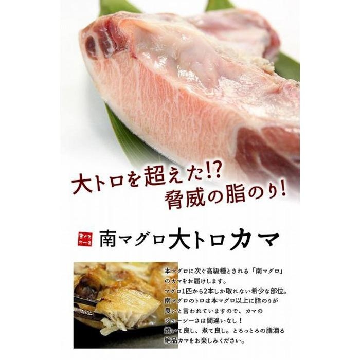 【定期便/計6回】南マグロ大トロカマ2kg（計12kg）【DG016-t6】|加熱用 選べる 回数 定期便 ｜ 冷凍 塩焼き 煮付け まぐろ 鮪 マグロ 焼き魚 高級種 希少部位 【定期便/計6回】