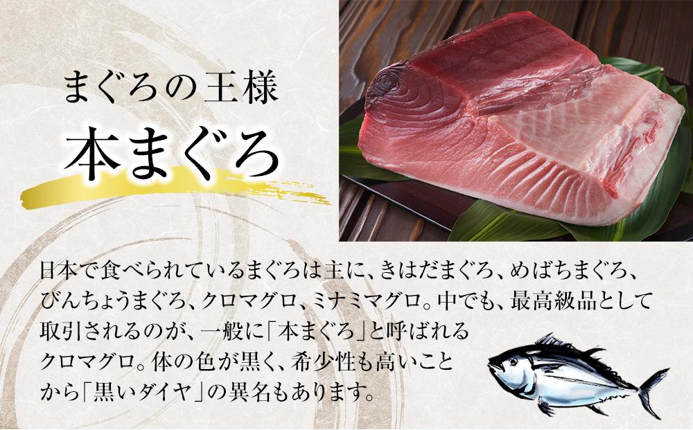 まぐろ尽くし刺身セットB