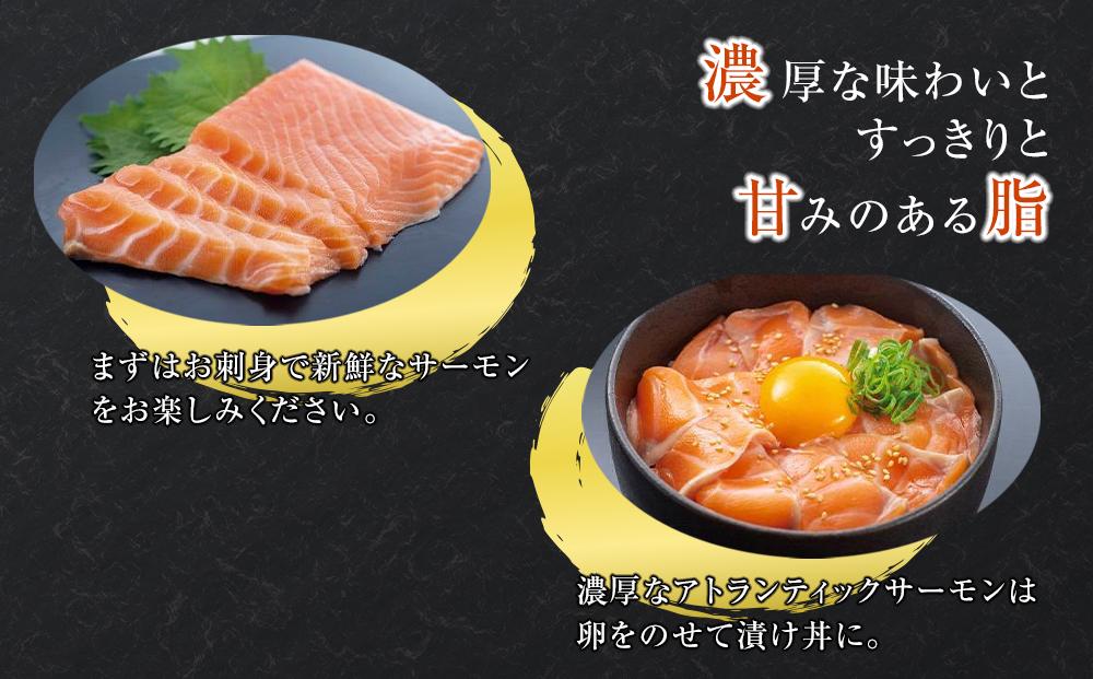 アイスバーグサーモン（アトランティックサーモン）　約1kg（約200g×5袋）　ノルウェーから生のまま直送！