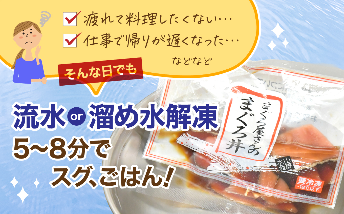 まぐろ屋さんのまぐろ丼(80g×22pk) | まぐろ丼 小分けパック 冷凍 手軽 ご飯のお供 解凍簡単 食べ切りサイズ 送料無料 魚介類 食品 簡単調理 時短 | DK012-22p 80g×22pk