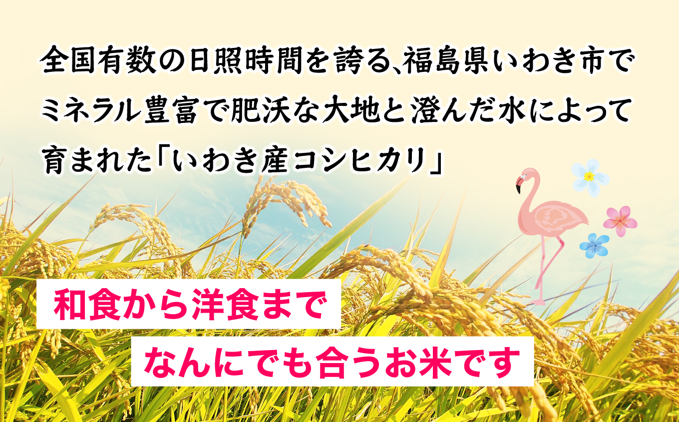 Iwaki Laiki いわき産コシヒカリ25kg（5kg×5袋） | IwakiLaiki いわき産 コシヒカリ 25kg  産地直送 ブランド米 上白米 一等米 ミネラル豊富 日照 旨み ふっくら ねばり 甘み 食感 ギフト 贈答用 白米 精米 送料無料 お米 こめ 人気 | FU004-25kg-r7 25kg（5kg×5袋）