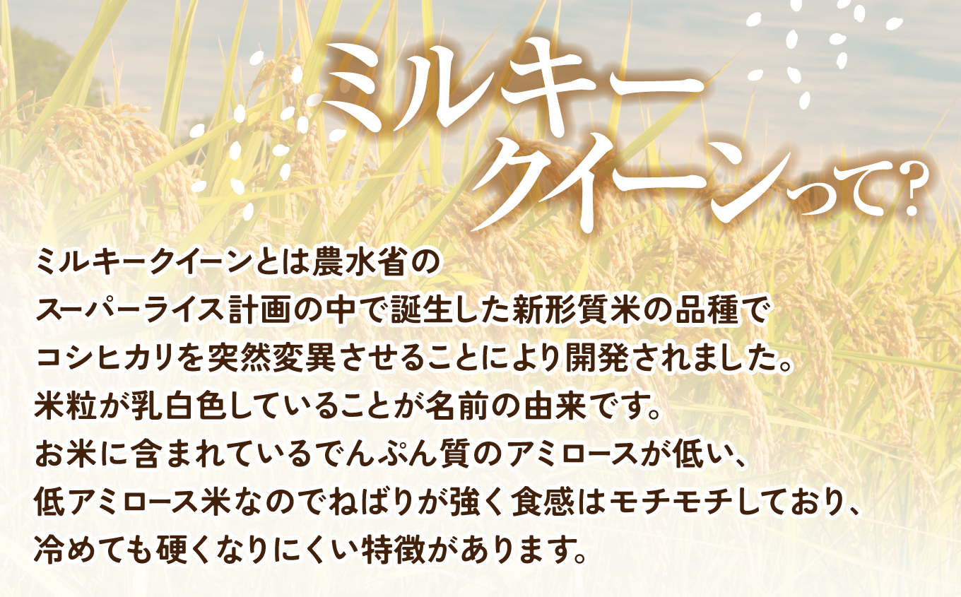 福島県産ミルキークイーン9kg×2袋 | 福島県産 米 精米 食味ランキング 産地直送 ふるさと納税 返礼品 送料無料 ブランド米 日本米 東北米 つや 旨味 甘み 香り 粘り コシ もちもち ミルキークイーン | FU007-18kg 9kg×2袋