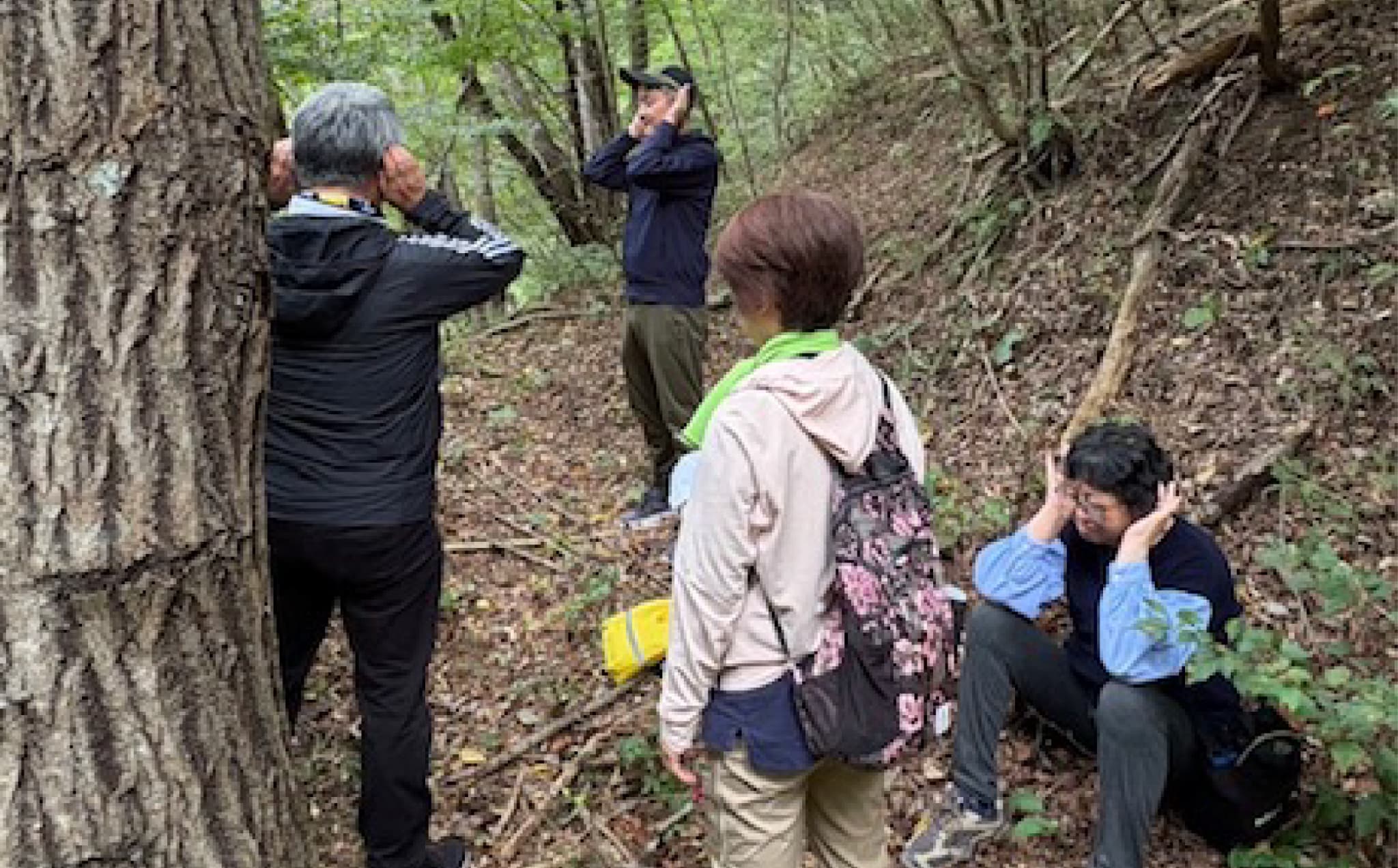 フォレストセラピー体験（森林浴×マインドフルネス瞑想体験）1回分 | フォレストセラピー 森林浴体験 マインドフルネス瞑想 自然と調和 静寂の時間 森の癒し 体験型返礼品 フィトンチッド マイナスイオン 深呼吸セラピー 自然の空気 心のデトックス | KM003