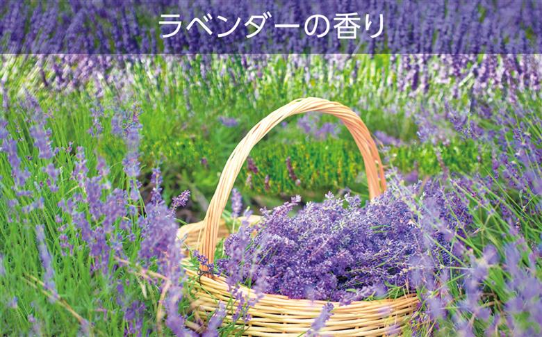 空気をかえようエステー　トイレの消臭力　ラベンダー6個セット | トイレの消臭力 消臭芳香剤 エステー製品 トイレ用消臭剤 ナノパウダー ラベンダー 強力消臭 長持ち香り 尿臭対策 芳香調整可能 スッキリ香る 消臭グッズ  消臭力シリーズ トイレ快適グッズ | NK001