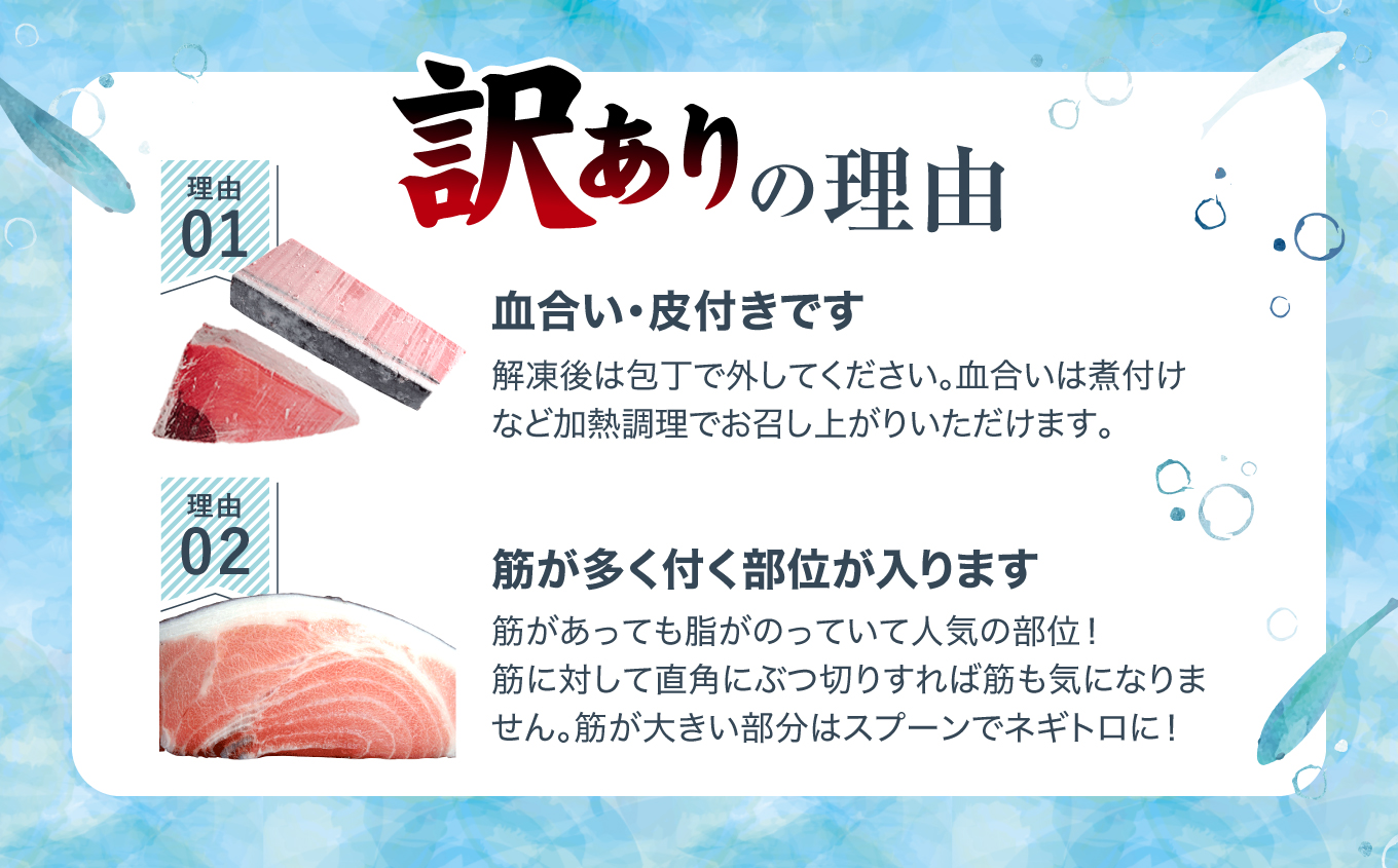 【単品】本マグロ 訳あり 中トロ 1kg 解凍レシピ付 約6～8人前 本マグロのトロ食べ放題！ 【単品】