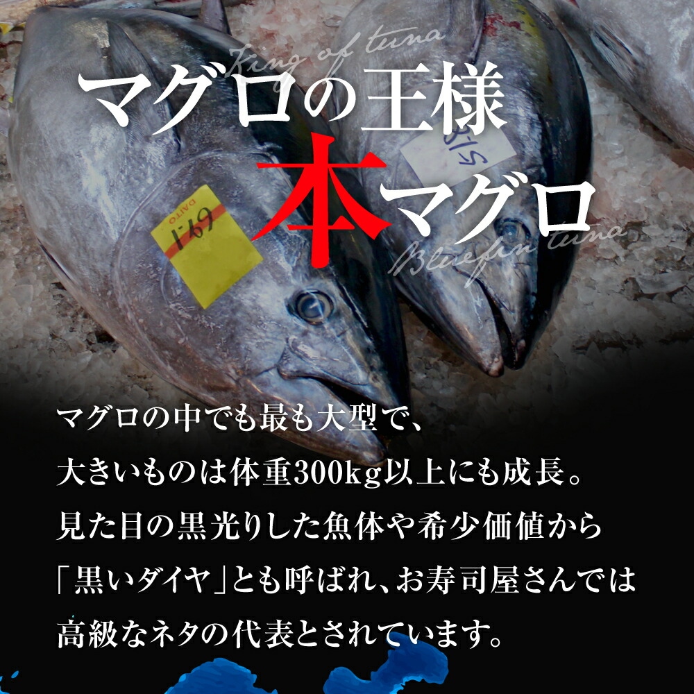 【定期便/計6回】本マグロ大トロ中トロセット350g（計2.1kg）【DG012-t6】|いわき市 ふるさと納税 株式会社東日本貿易 鮪 本鮪 本まぐろ マグロ 大トロ 大とろ トロ とろ 刺し身 さしみ さかな 海鮮 寿司 解凍レシピ付 【定期便/計6回】
