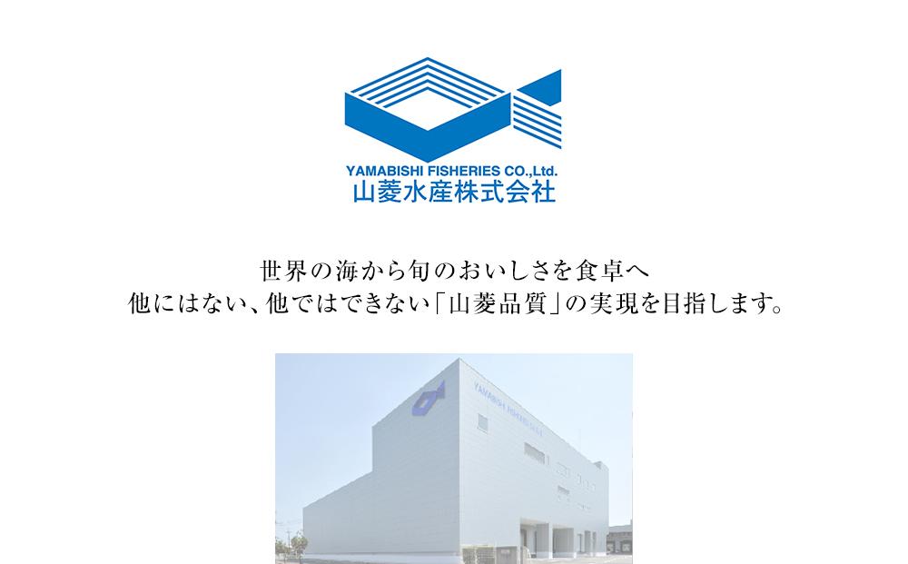 まぐろ尽くし刺身セットB