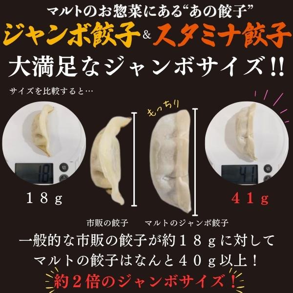 マルトオリジナル 冷凍ジャンボぎょうざ&冷凍スタミナぎょうざ 15個入×各種1袋（30個） | 福島 いわき マルトオリジナル ジャンボぎょうざ 冷凍餃子 パンチ系餃子 食べ応え モチモチ厚皮 旨味ぎっしり おうちごはん 冷凍ストック 家庭用 お取り寄せグルメ 点心 簡単調理 冷凍食品 | EQ042-mx 15個入×各種1袋(30個)
