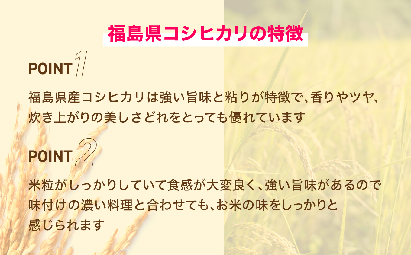 Iwaki Laiki いわき産コシヒカリ5kg（5kg×1袋） | IwakiLaiki いわき産 コシヒカリ 5kg  産地直送 ブランド米 上白米 一等米 ミネラル豊富 日照 旨み ふっくら ねばり 甘み 食感 ギフト 贈答用 白米 精米 送料無料 お米 こめ 人気 | FU004-5kg-r7 5kg（5kg×1袋）