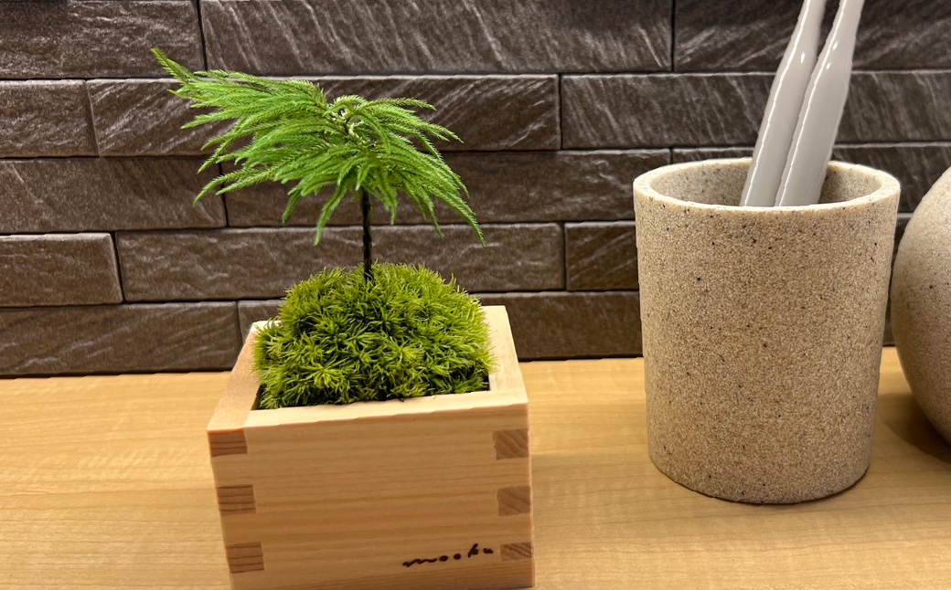 苔盆栽 枯れない 苔 インテリア ミニ盆栽 人工 プリザーブド 苔玉