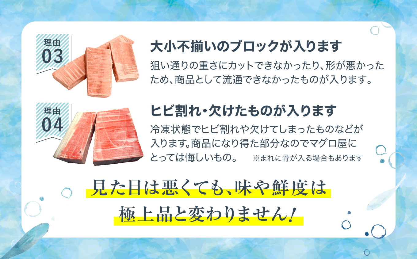 【単品】本マグロ訳あり中トロ700g！解凍レシピ付 【単品】
