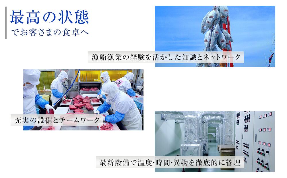 まぐろ尽くし刺身セットB